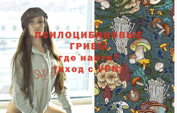 ешки Абаза
