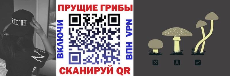 Псилоцибиновые грибы ЛСД  кракен вход  Тетюши 